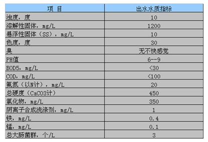 臭氧污水現場